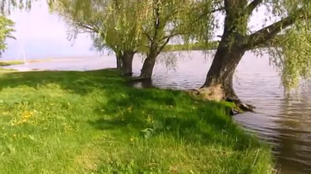 Летели лебеди авторская работа Людмилы Ивановой смотреть онлайн