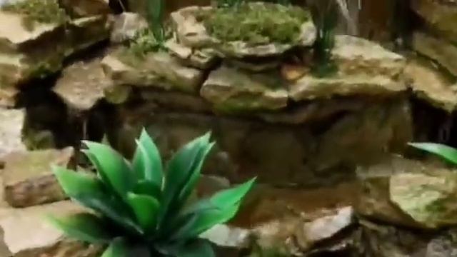 Декоративные вадапади разные видов званите и закажите телефон 094778272 смотреть онлайн