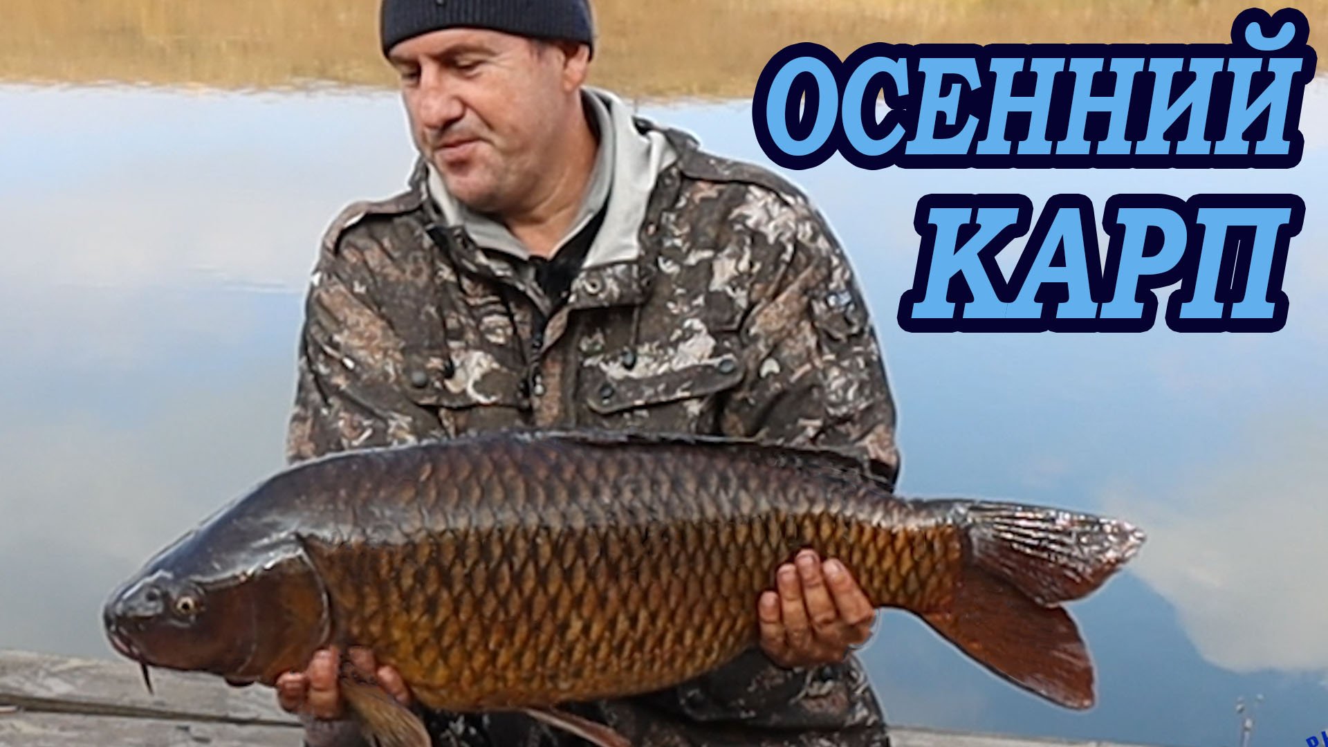 Ловлю КАРПА на МЕЛИ В КОРЯГАХ ПОЗДНЕЙ ОСЕНЬЮ ПО ХОЛОДНОЙ ВОДЕ смотреть онлайн