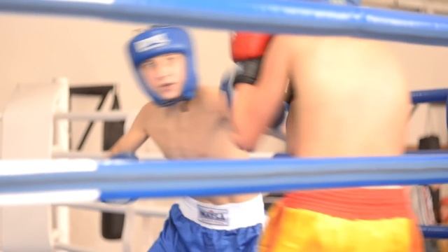 Adrenalin kickboxing team | Кикбоксинг Луцк смотреть онлайн