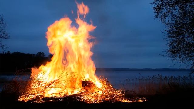 СТРАШНЫЕ ИСТОРИИ НА НОЧЬ / СТРАШНЫЕ ИСТОРИИ ПРО ДЕРЕВНЮ / СТРАШНЫЕ ИСТОРИИ ПРО ВЕДЬМ / ЛЕС смотреть онлайн