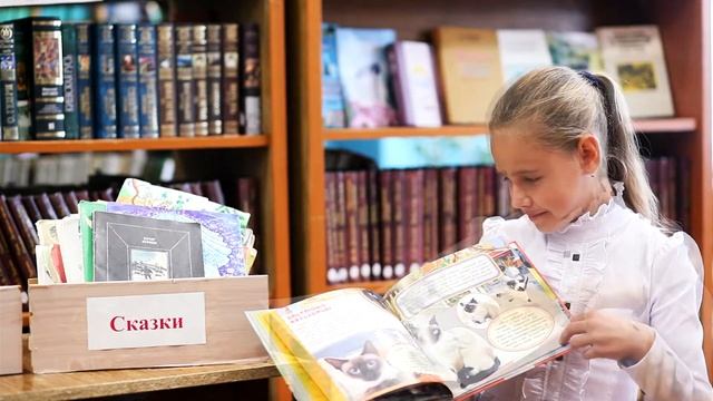 Несмелова Карина 