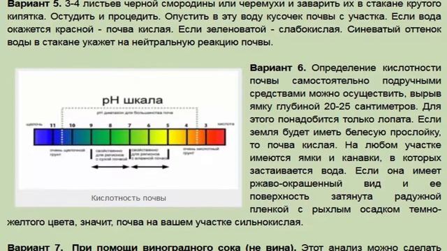 Как определить кислотность почвы без приборов? смотреть онлайн