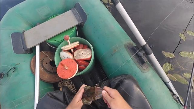 Вечер, лодка, спиннинг, пруд. смотреть онлайн