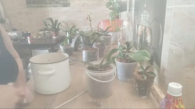 День Полива В Эфире смотреть онлайн