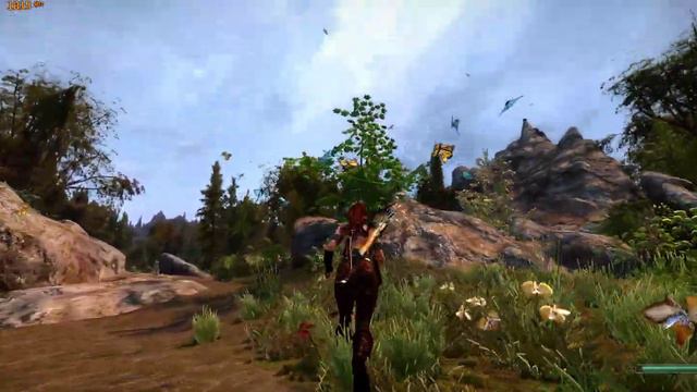 Skyrim 2022 My favorite hunting grounds Chanterelle смотреть онлайн
