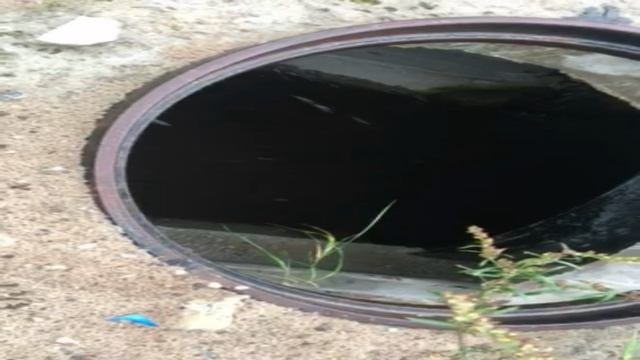 Ливневая канализация на Московском проспекте смотреть онлайн