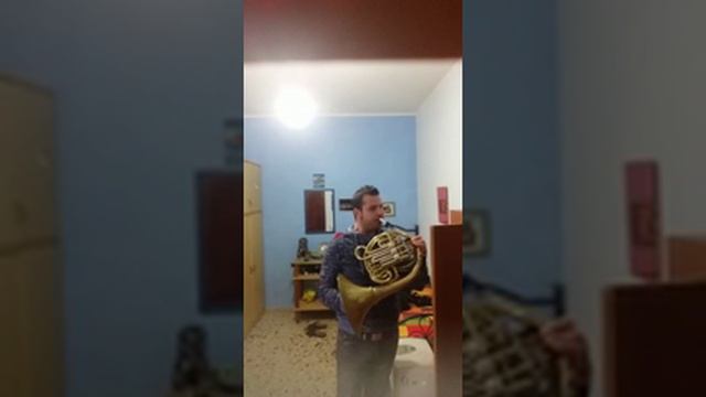 Paolo Rizzuto Mozart Horn Concerto K495 Cadenza смотреть онлайн