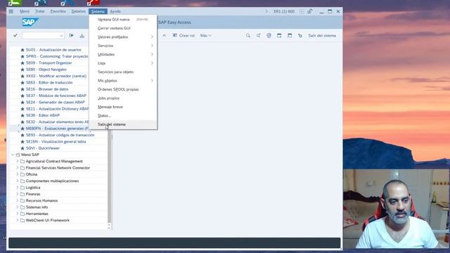 COMO CAMBIAR EL TEMA EN SAP GUI 770 | Configúralo como un profesional смотреть онлайн