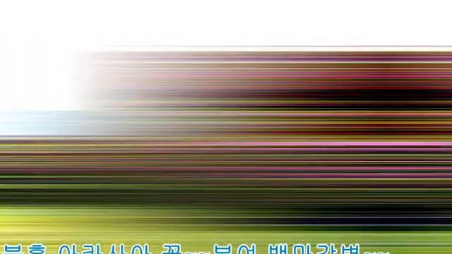 난생 처음 보는 행운의 분홍 아카시아 꽃 매료/Fascinated by the first pink acacia flowers / 위위랜드 / 무도매거진 смотреть онлайн