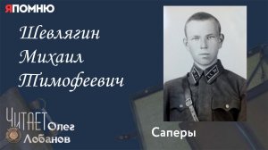 Шевлягин Михаил Тимофеевич. Проект «Я помню» Артема Драбкина. Саперы.