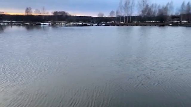 Обзор 1 га водоёма РК Фишка Петряиха. смотреть онлайн