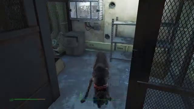 Fallout 4 Cryolator Dogmeat Glitch смотреть онлайн