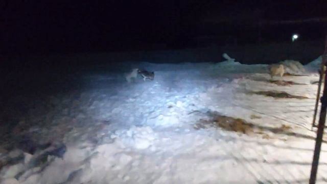 Каша с капустой в лёт смотреть онлайн