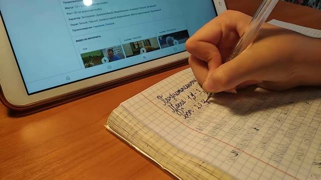 Пишем в тетрадке про собак ХОЧУ СОБАКУ!??? смотреть онлайн