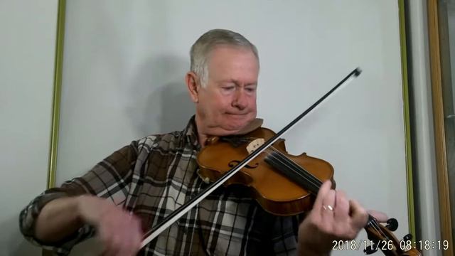 Gliga Maestro Violin Helicore strings Beaumont Rag in D смотреть онлайн