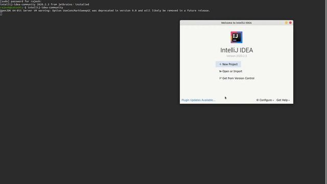 Intellij Idea installation on ubuntu 20 4 смотреть онлайн