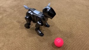 Refurbished Sony Aibo ERS-210 Overview/Demo (robotchat 3rd Anniversary Aibo Giveaway)