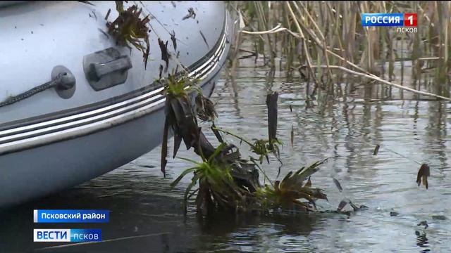 В Псковской области чистят устье Великой от брошенных рыболовных сетей смотреть онлайн