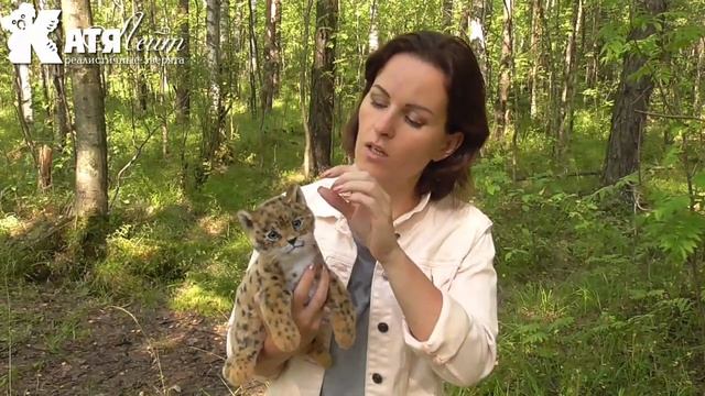 Леопард котенок игрушка смотреть онлайн