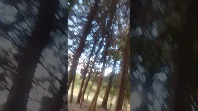 Watch out how he narrowly escaped смотреть онлайн