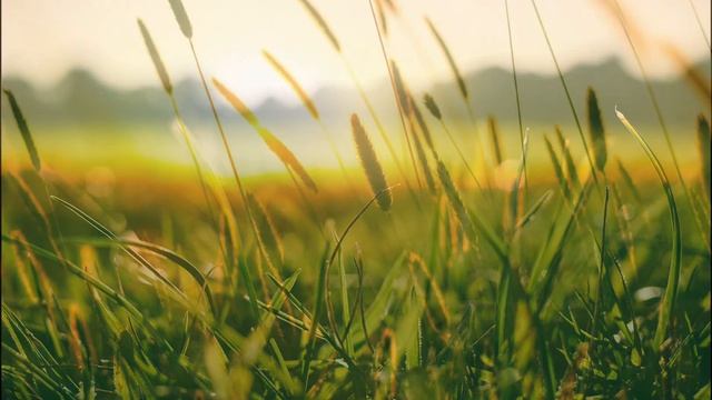 Константин Бальмонт - Безглагольность смотреть онлайн