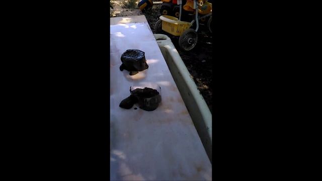 Опалубка не требующая смазки смотреть онлайн