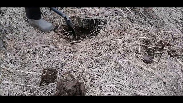 КОП 2021/НАХОДКИ МЕТАЛЛОИСКАТЕЛЕМ MD6250!!!COP2021/METAL DETECTOR MD6250!