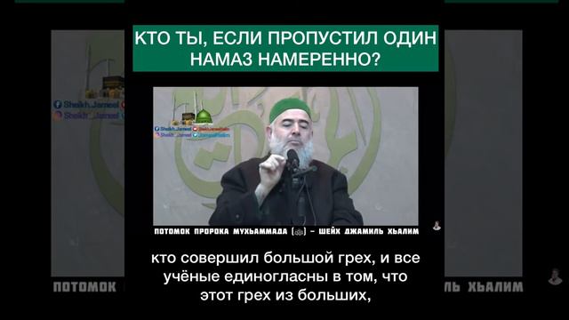 Шейх Джамиль Хьалим смотреть онлайн