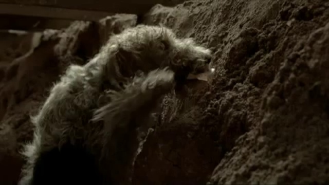 Le chien et le ticket de loto смотреть онлайн
