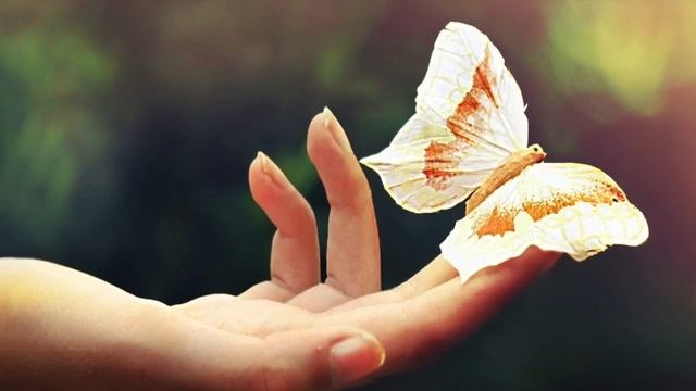 |ВО ЧТО ВЕРИТЬ - РЕШАЕШЬ ТОЛЬКО ТЫ| смотреть онлайн