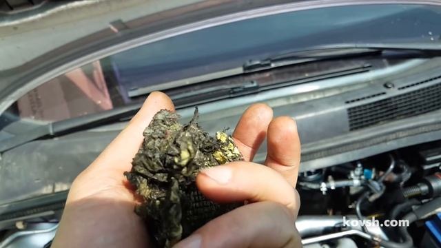 Что можетет произойти с воздушным фильтром после попадания автомобиля в глубокую лужу, Opel Zafira смотреть онлайн