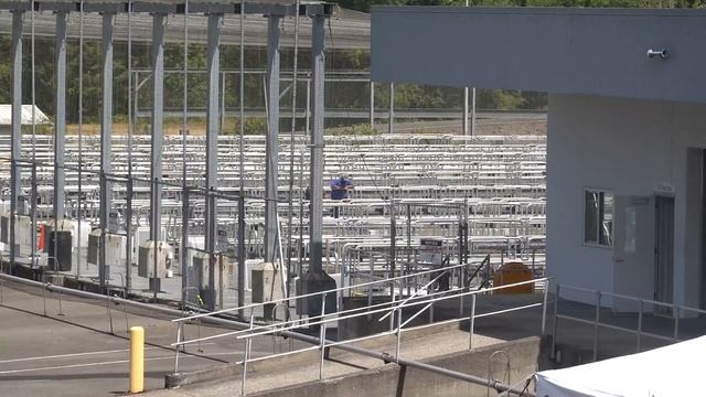 Ферма разведения рыб чавыча и кижуч на реке Каулиц ( Cowlitz Salmon Hatchery ) смотреть онлайн