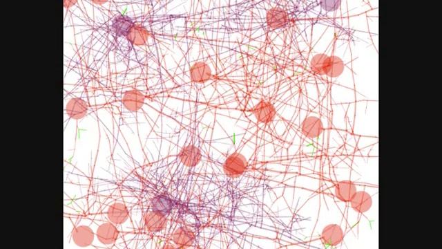 simulation of a selforganizing neural network using axonal growth rules.wmv смотреть онлайн