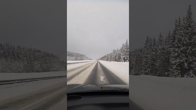 06.03.23 трасса М9 смотреть онлайн