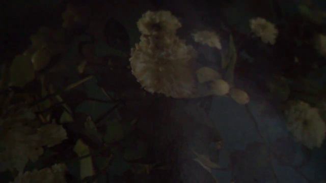 Как здорово, что все мы здесь сегодня(изгиб гитары желтой(наброски) смотреть онлайн