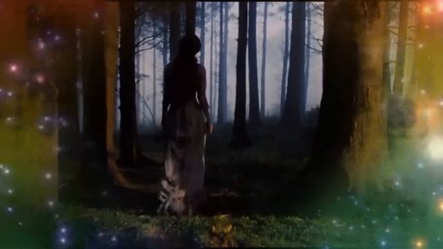 Витас   Адажио Альбиноне