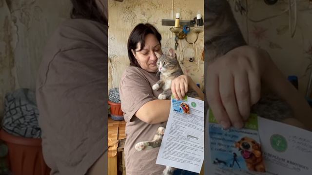 "Особенная" Сара уехала домой! смотреть онлайн