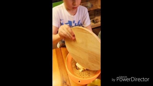 Как приготовить конфеты "Муравьиная горка" смотреть онлайн