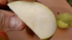 25 сентября 2021. Обзор, дегустация груш. Ясачка, Новелла, Маисян, Ника.