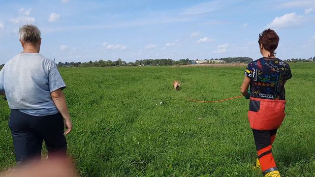 Arvendel Coul (Чача), испытания IGP-FH, август 2024, Псков