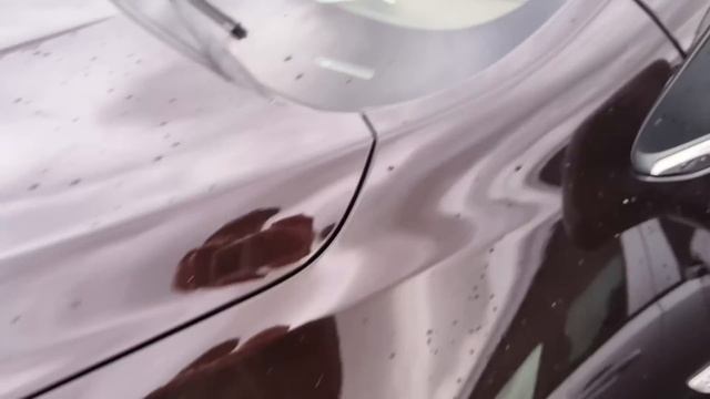 ЦЕНЫ ? НА КИЕВСКОМ АВТО РЫНКЕ 28.10 смотреть онлайн