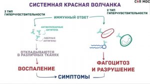 Системная красная волчанка - причины, симптомы, диагноз и патология