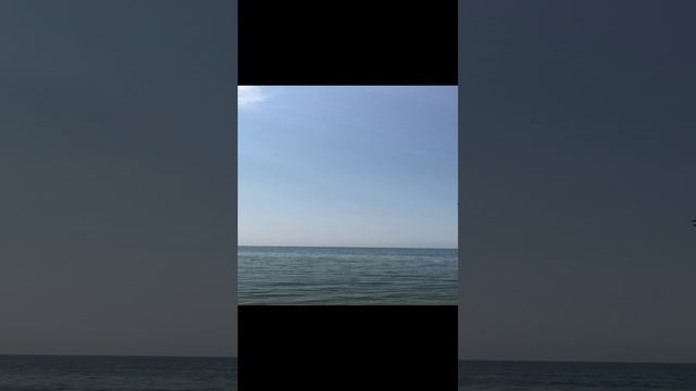 Михаил Кучман