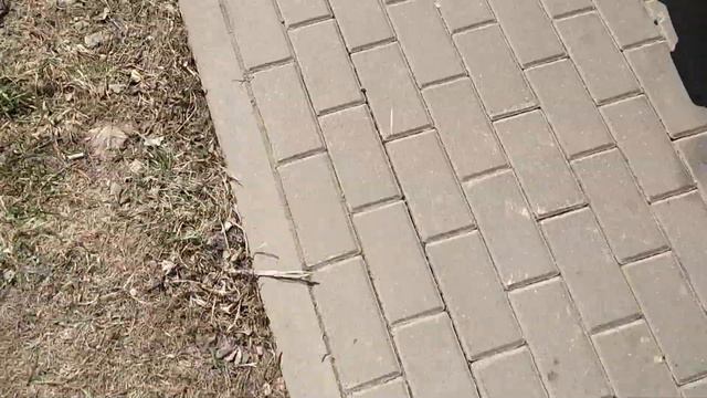 Научиться кататься на скейте. На скейте по брусчатке ?! смотреть онлайн