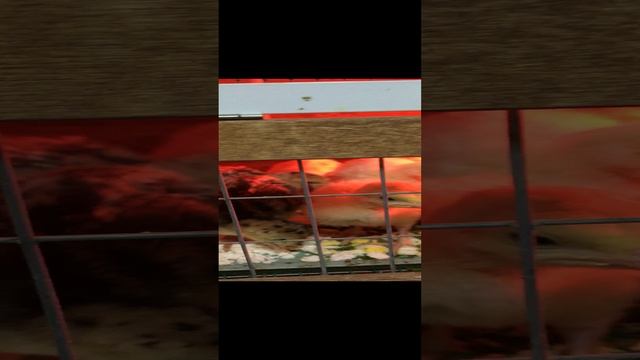 20-04-2023 смотреть онлайн