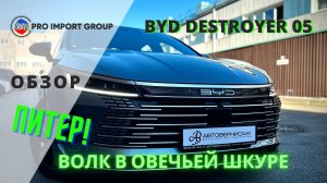 #ПИТЕР BYD Destroyer 05 |обзор от PRO IMPORT GROUP