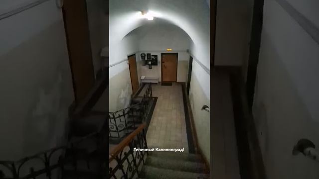 Типичный Калининград! смотреть онлайн