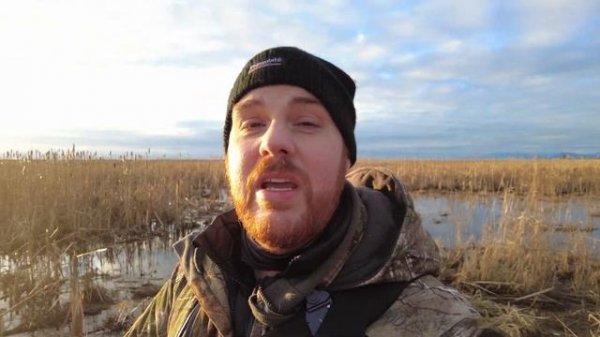 Sony 200-600mm Overview + Bird Photography Tips