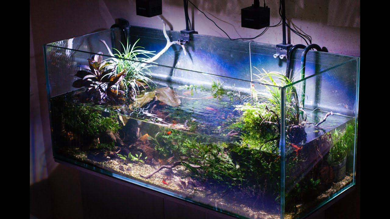 Палюдариум 4 месяца после редизайна смотреть онлайн